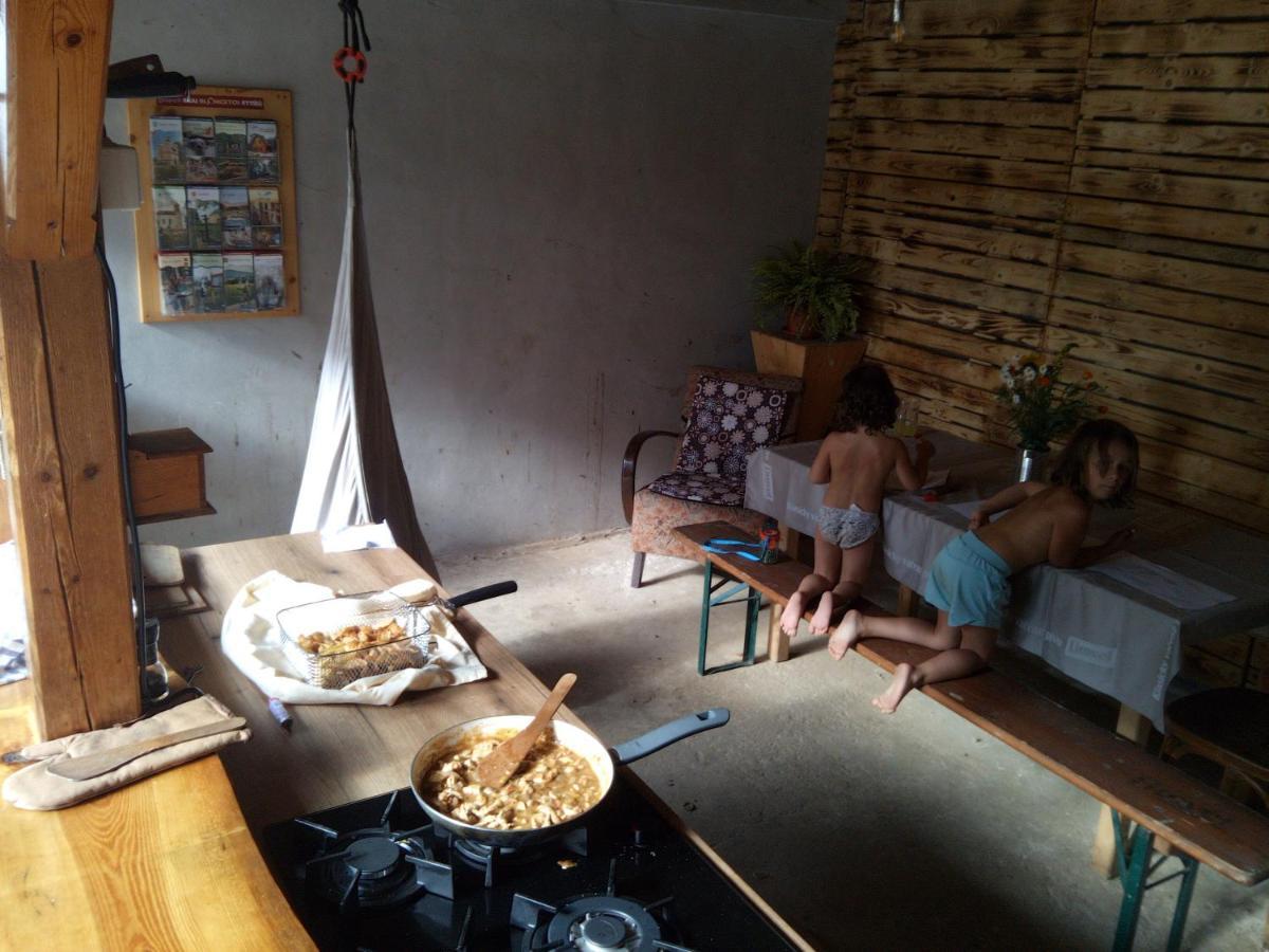 Biofarma Dolejsi Mlyn Villa Kamberk ภายนอก รูปภาพ
