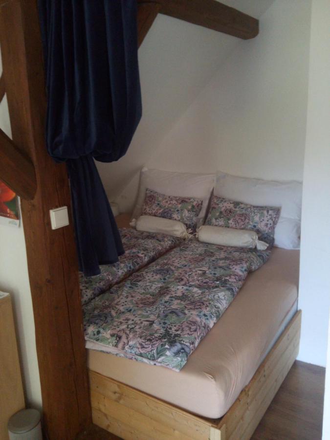 Biofarma Dolejsi Mlyn Villa Kamberk ภายนอก รูปภาพ