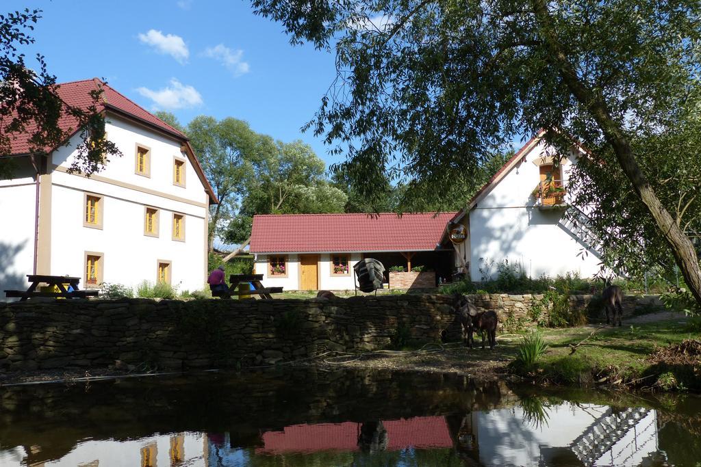 Biofarma Dolejsi Mlyn Villa Kamberk ภายนอก รูปภาพ