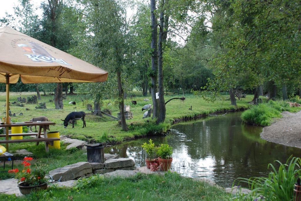 Biofarma Dolejsi Mlyn Villa Kamberk ภายนอก รูปภาพ
